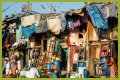 Crowded Cities and Rise in Diseases